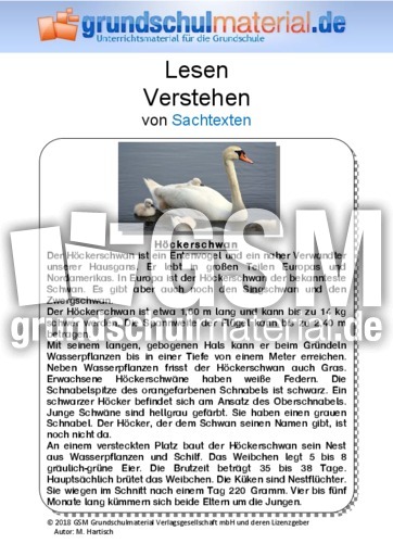 Höckerschwan - Sachtext.pdf